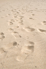 Fototapeta na wymiar Smooth Sand Texture from a Local Beach