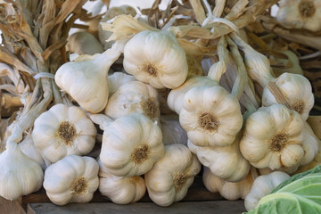 group of garlic for sale  in a country market
