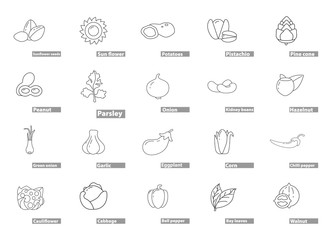 Vegetables line icons set with pepper, potato, pistachios tomato