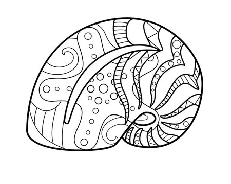 Shell - coloring antistress - vector linear picture for coloring. Outline. Hand drawing. A mollusk in a shell a river or aquarium animal with a pattern on it - picture for a coloring book.