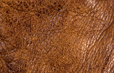 Old vintage genuine soft brown leather texture background, top layer with pores and scratches, macro, close-up