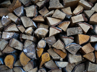 Closeup of logs of trees in nature. a lot of cutted logs.