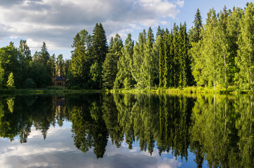 lake in forest