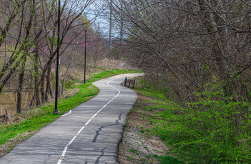 Bike path through a park