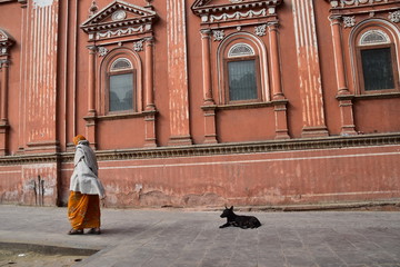 インドのラジャスタン州のジャイプル　レンガ造りの美しい建築物　路上を歩くインド人女性と休憩する野良犬