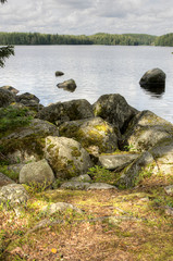 stones in water
