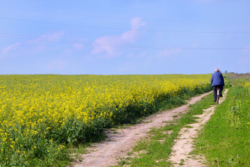  man on a bicycle among the field