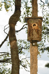 birdhouse on tree