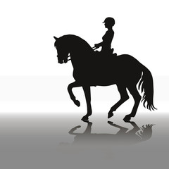 a woman riding a prancing horse, black silhouette and shadow, monochrome isolated image on a white background for decoration