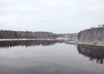 reflection of trees in water