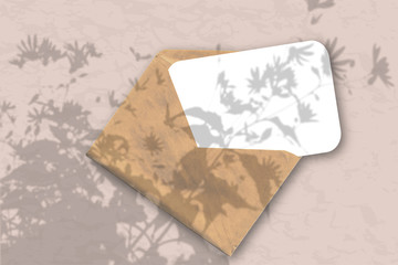 An envelope with a sheet of white textured paper on a pastel pink wall background. Mockup with an overlay of plant shadows. Natural light casts shadows from the tops of field plants and flowers