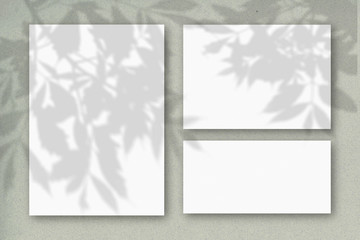 Several horizontal and vertical sheets of white textured paper against a gray wall. Mockup overlay with the plant shadows. Natural light casts shadows from the tree's foliage