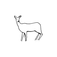 Deer hand drawn vector illustration line sketch isolated on white background.