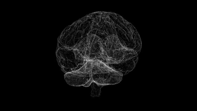 Human brain animation 3d. Artificial intelligence.