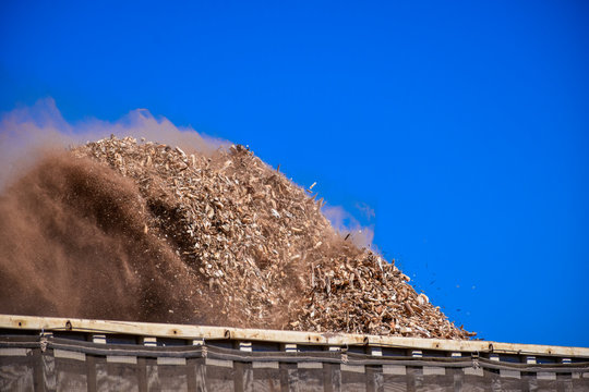 Wood Biomass Forestry Energy