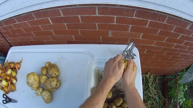 Home gardening - First person perspective of own grown organic potatoes from own back yard garden being hand washed in patio sink under tap water.