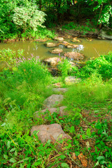 japanese garden in spring