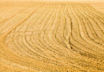 plowed agriculture field
