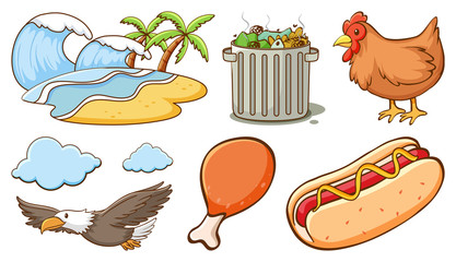 Large set of different animals and other objects on white background