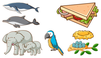 Large set of different animals and other objects on white background