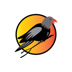 simple color bird logo design vector