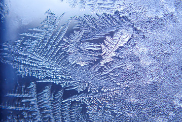 macro ice on the glass in winter Patterned like leaves	