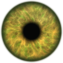 jade green isolated human eye iris