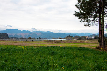 The countryside of south China in winter