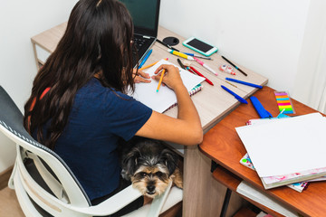 Little girl with her dog doing homework at home on her laptop