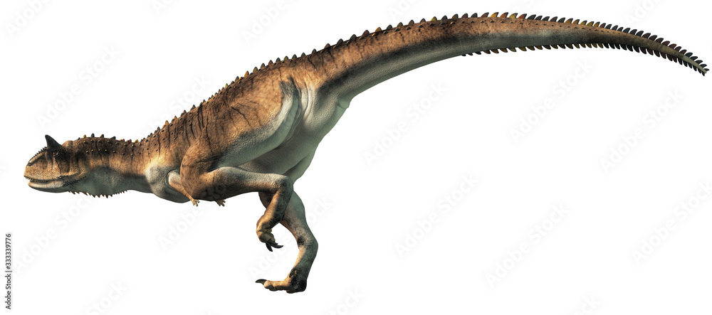 Aufkleber carnotaurus was a carnivorous theropod dinosaur with horns on its head that lived in cretaceous era 