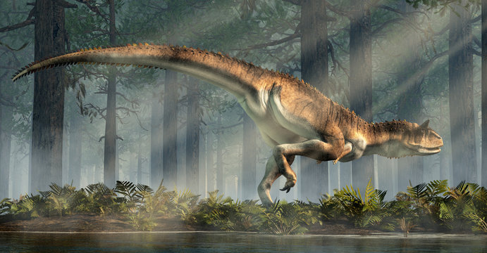Carnotaurus was a carnivorous theropod dinosaur with horns on its head that lived in Cretaceous era South America. Here, one is depicted in a forest. 3D Rendering 