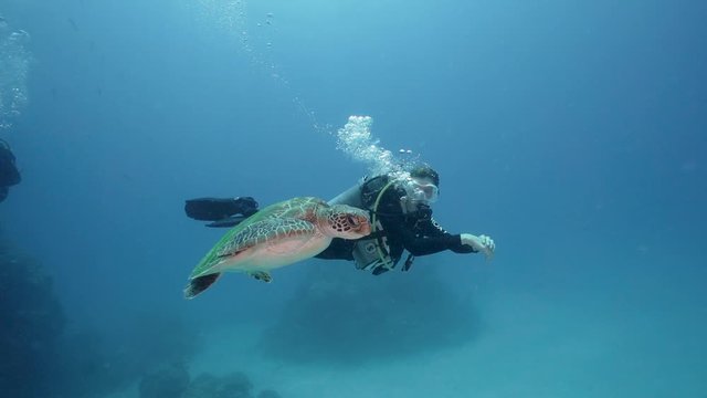 Female Scuba Divers swimming with Green Sea Turtle. Coral Reef and crystal blue water. Shot full frame on a Sony A7III on the Great Barrier Reef. (Scuba Diving)