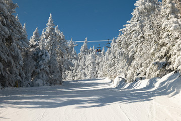 skiers on slope and ski lift with snow covered trees chairlift at background