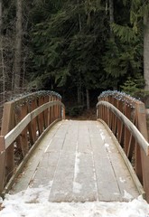 Obraz premium View across a bridge on a hiking trail in the forest 