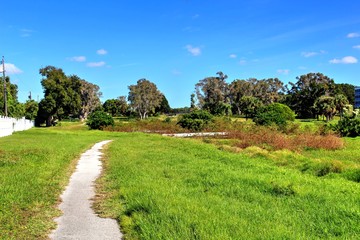 Fototapeta na wymiar Overgrown landscapes in Florida state