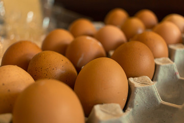 Picture of Eggs laid on Egg Stack