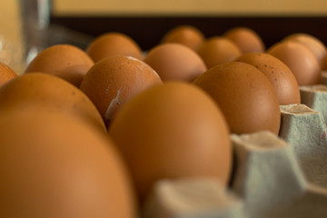 Picture of Eggs laid on Egg Stack