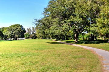 Overgrown landscapes in Florida state