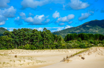 Fototapeta na wymiar Deserted dunes under the blue sky.