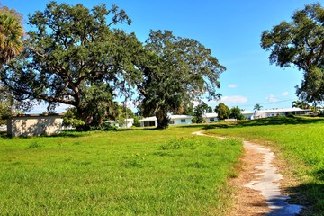 Overgrown landscapes in Florida state