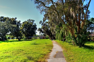 Overgrown landscapes in Florida state
