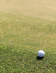 Golf ball near the green