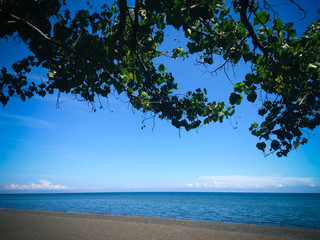 Tropical Beach Scenery Under The Shade Tree On Sunny Clear Blue Sky At The Village, Umeanyar, North Bali, Indonesia