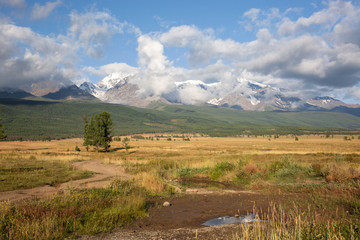 altai snow mountain and steppe forest