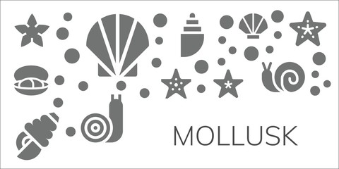 mollusk icon set