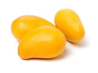 Mango on a white background