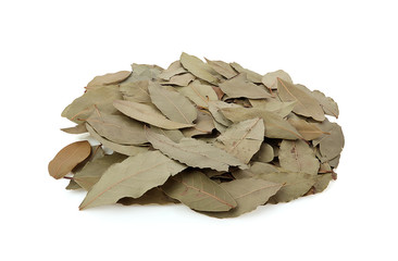 Bay leaf isolated on a white background