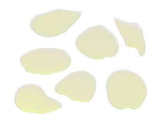 Water on white background. Spilled water puddle isolated on white background. Texture of spilled water.