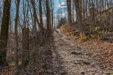 Hilton Trail end of day light on the path landscape