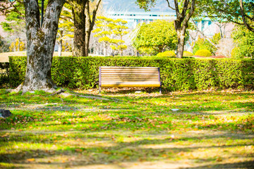 読書しよっかな